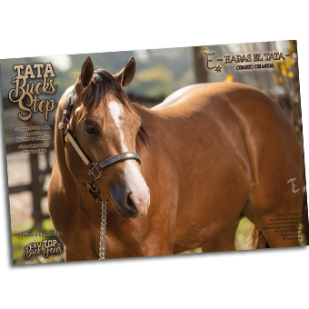 Haras El Tata de Franco Petroselli para Anuario CACCM