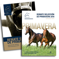 Catálogos de Remate Primavera para la AACCP
